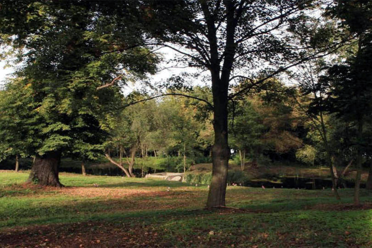 Projekt bez nazwy (38)