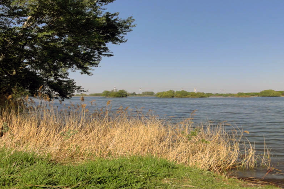 Projekt bez nazwy (39)