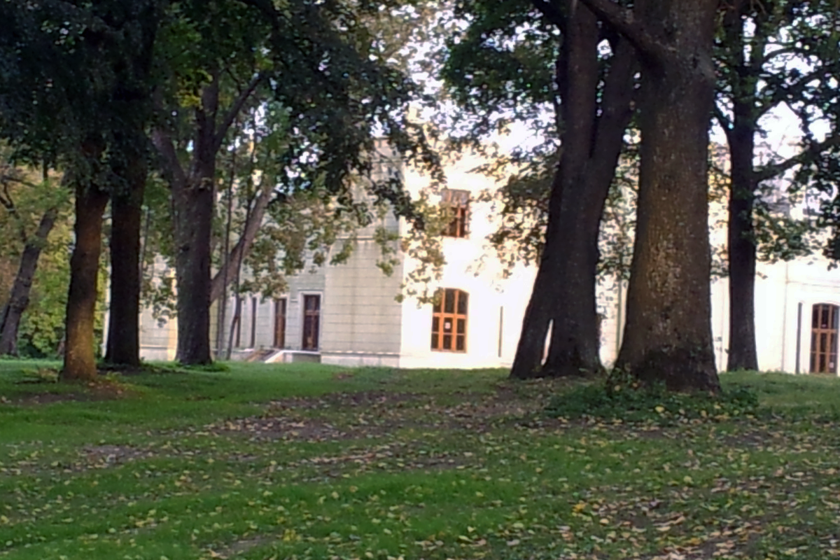 Projekt bez nazwy (40)