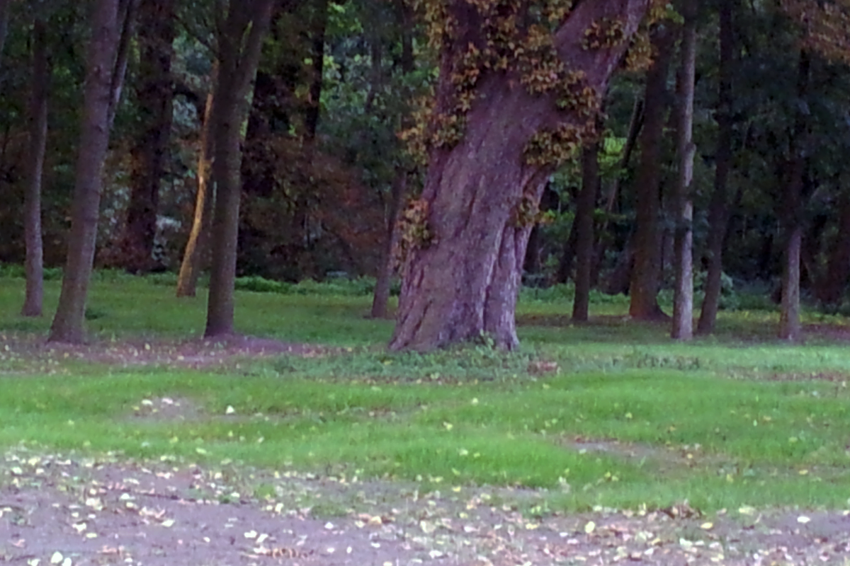 Projekt bez nazwy (41)