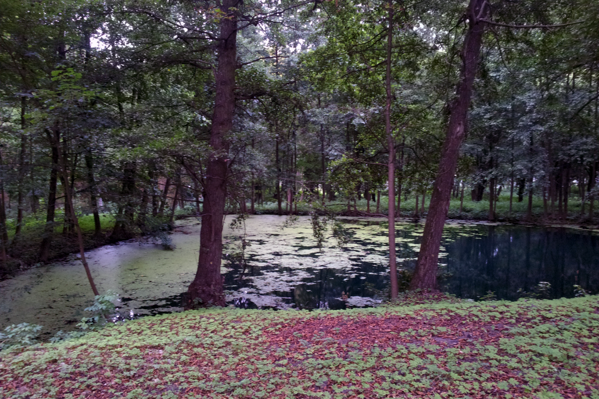 Projekt bez nazwy (42)