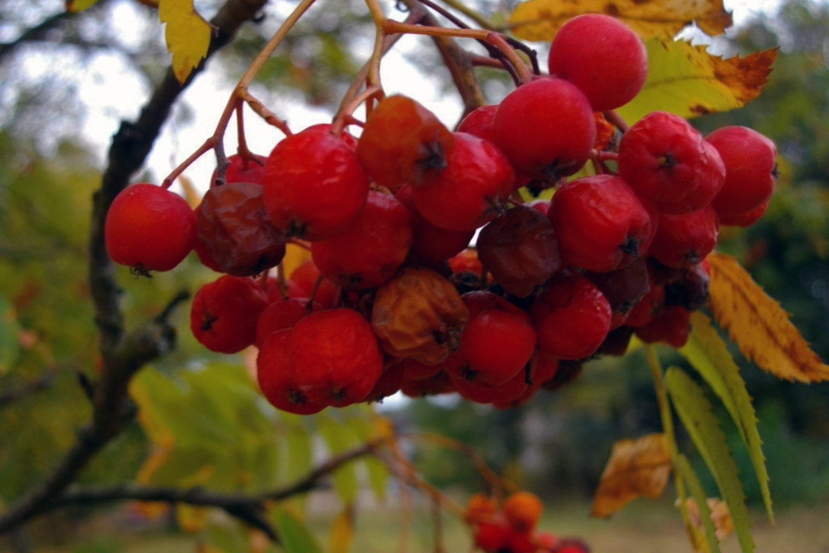 Projekt bez nazwy (46)