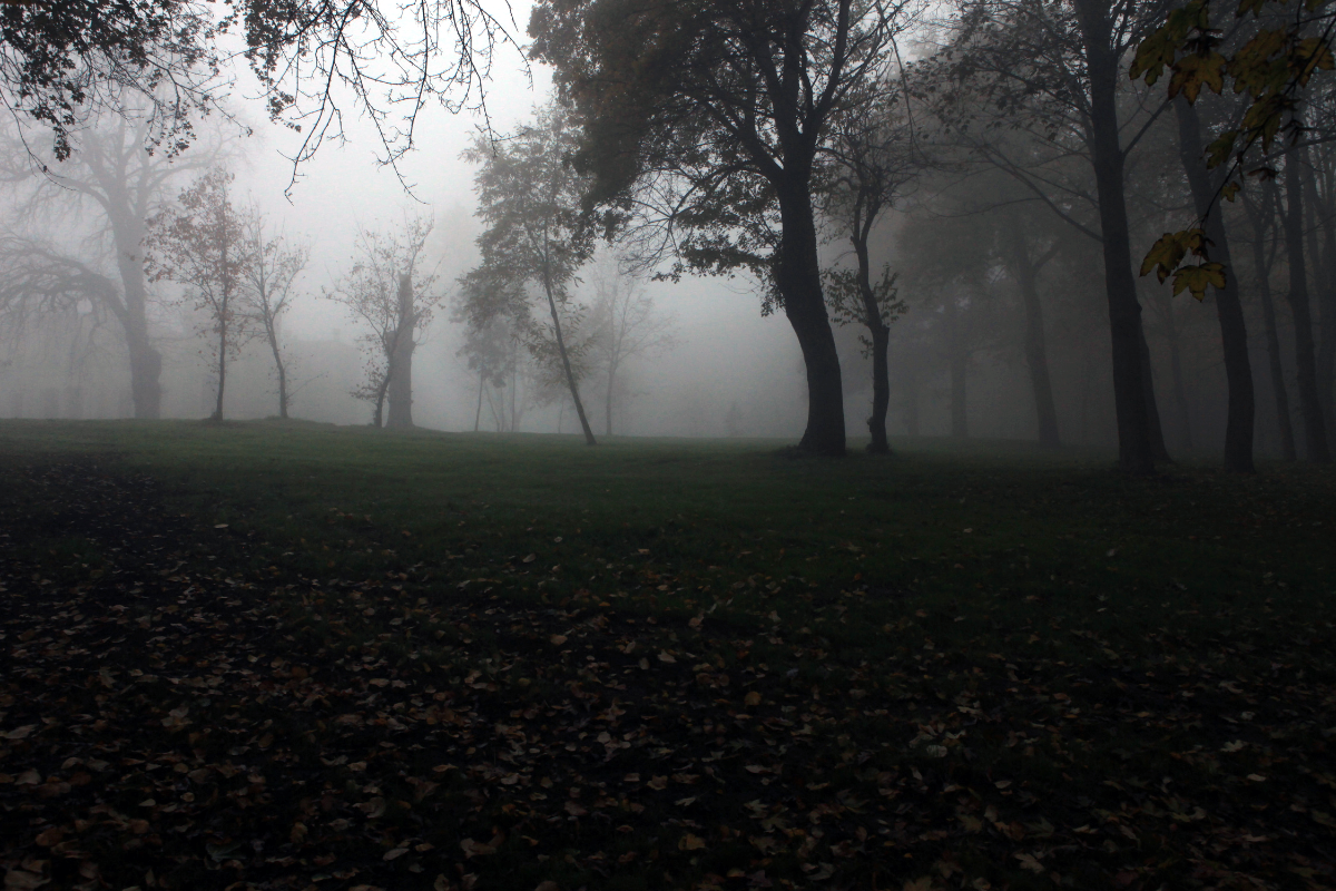 Projekt bez nazwy (47)