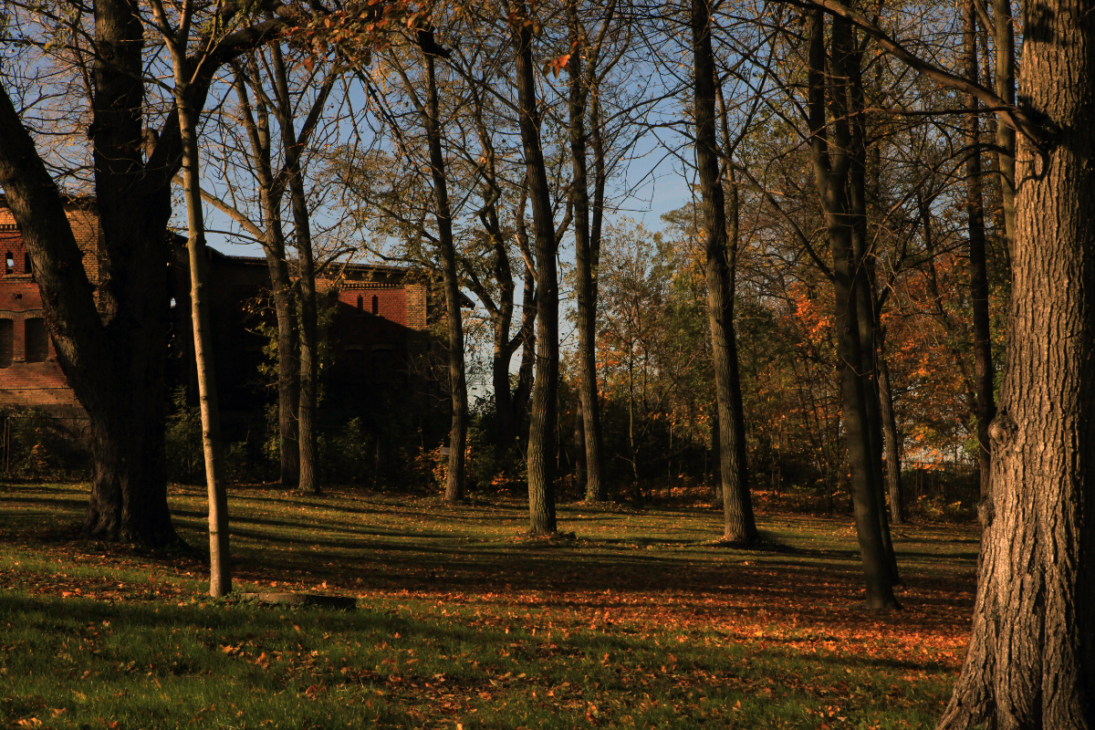 Projekt bez nazwy (48)