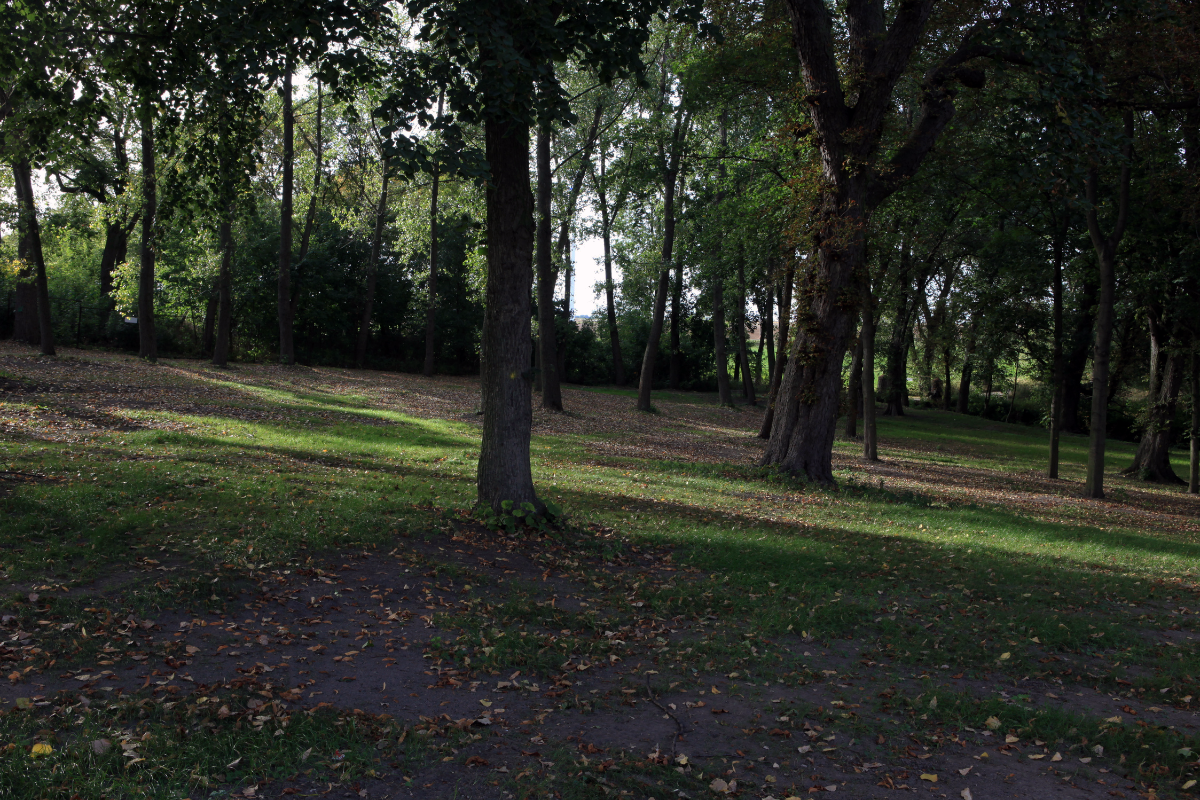 Projekt bez nazwy (52)