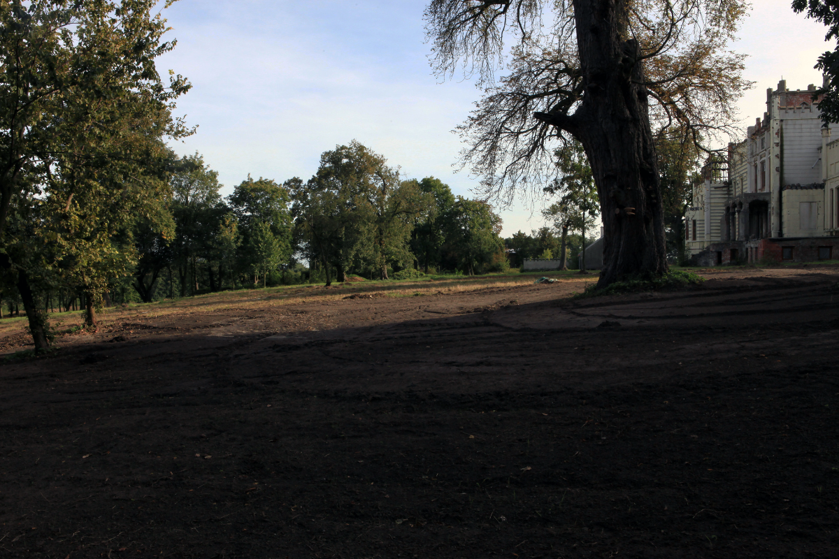 Projekt bez nazwy (55)