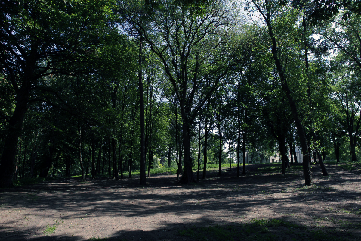 Projekt bez nazwy (61)