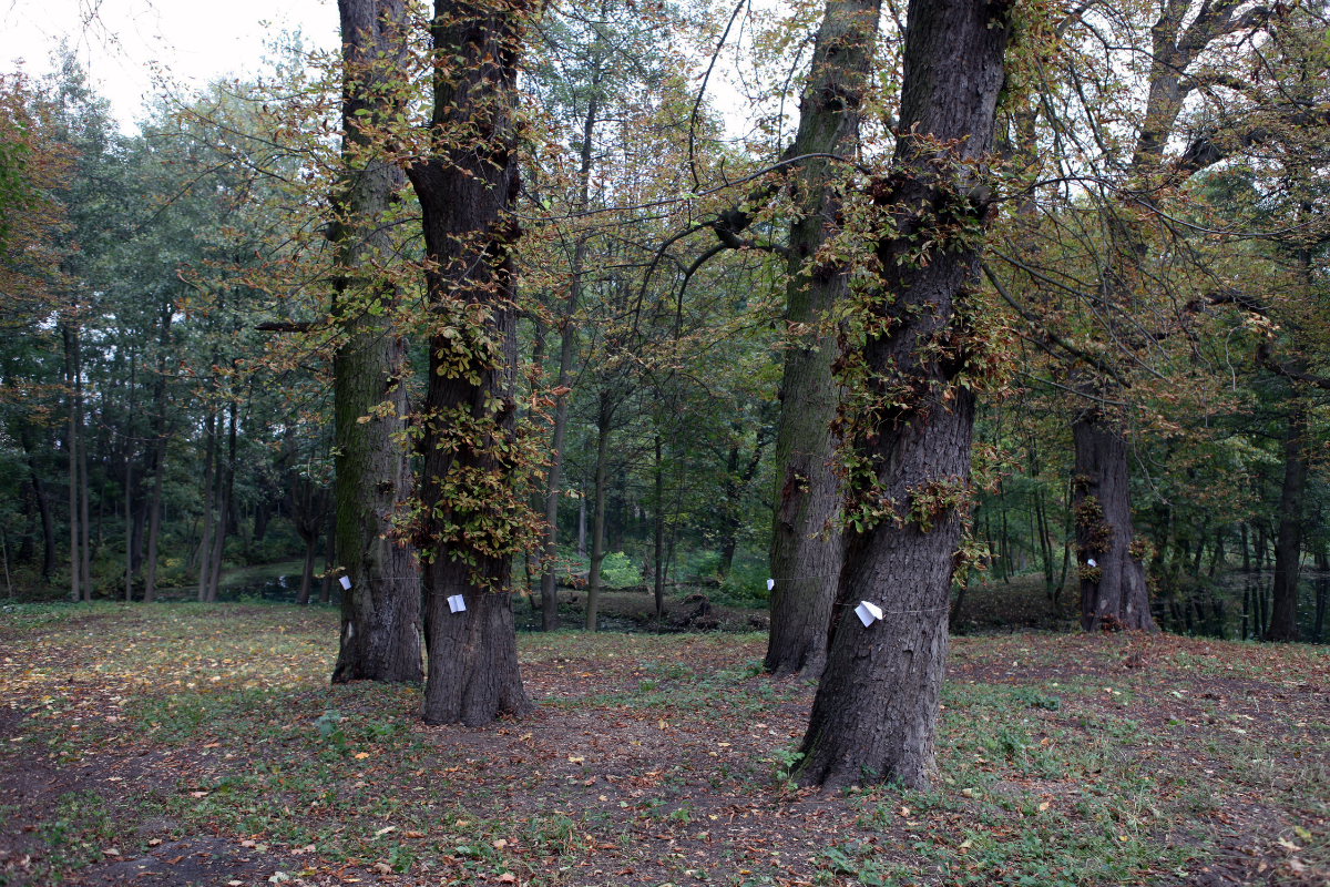 Projekt bez nazwy (62)