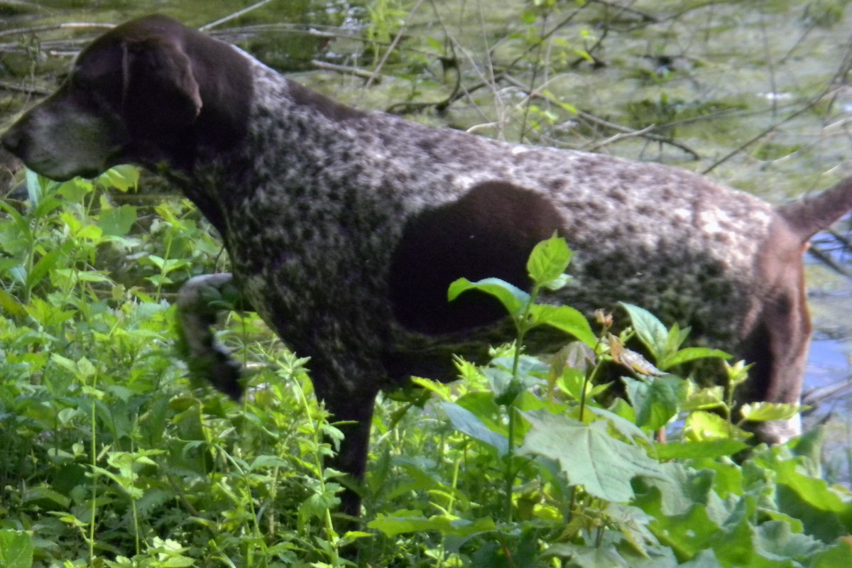 Projekt bez nazwy (64)