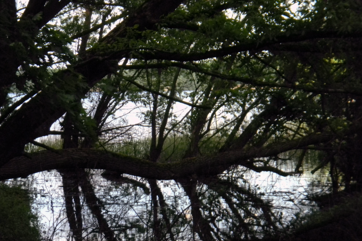 Projekt bez nazwy (65)