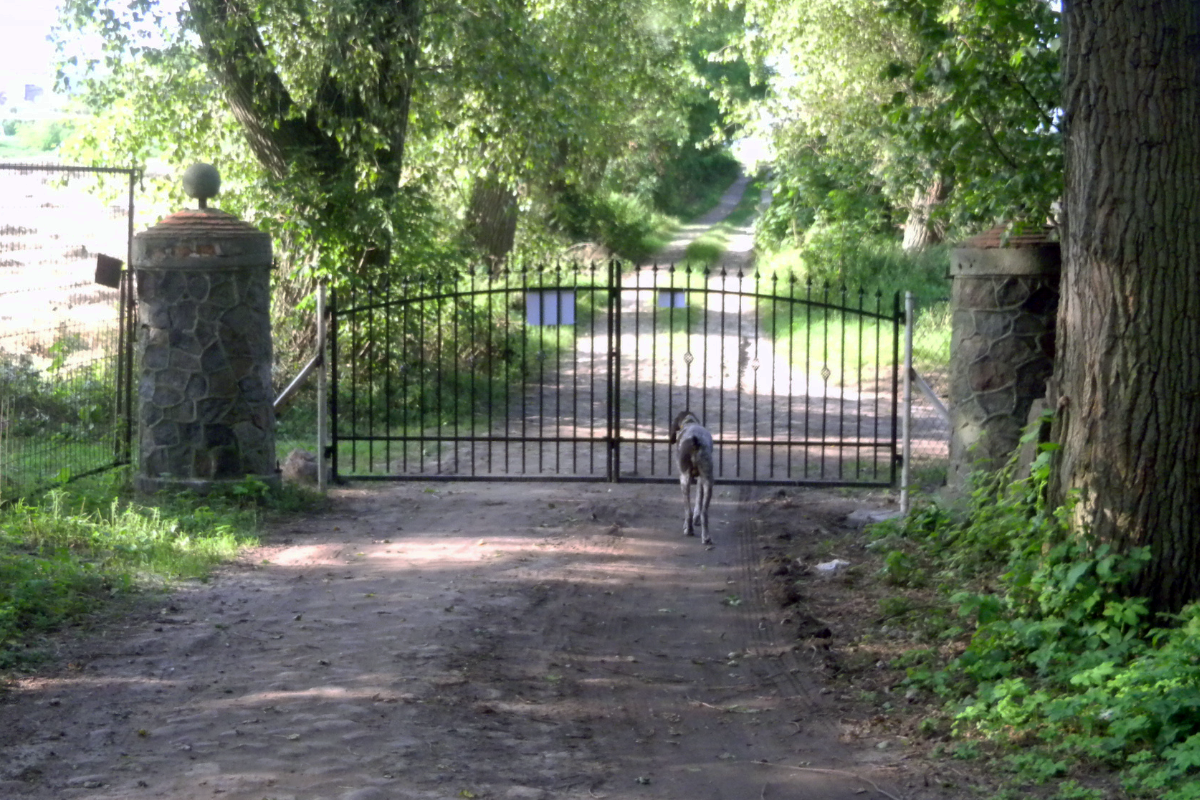 Projekt bez nazwy (66)